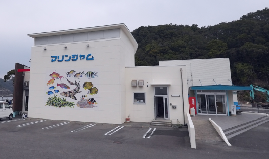 マリンジャム建物