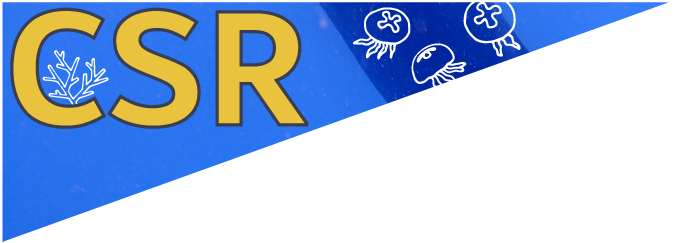 海洋環境とCSR活動